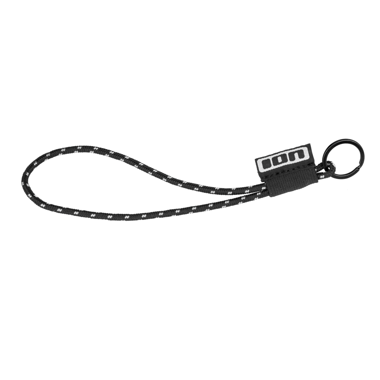 ION Lanyard 2024