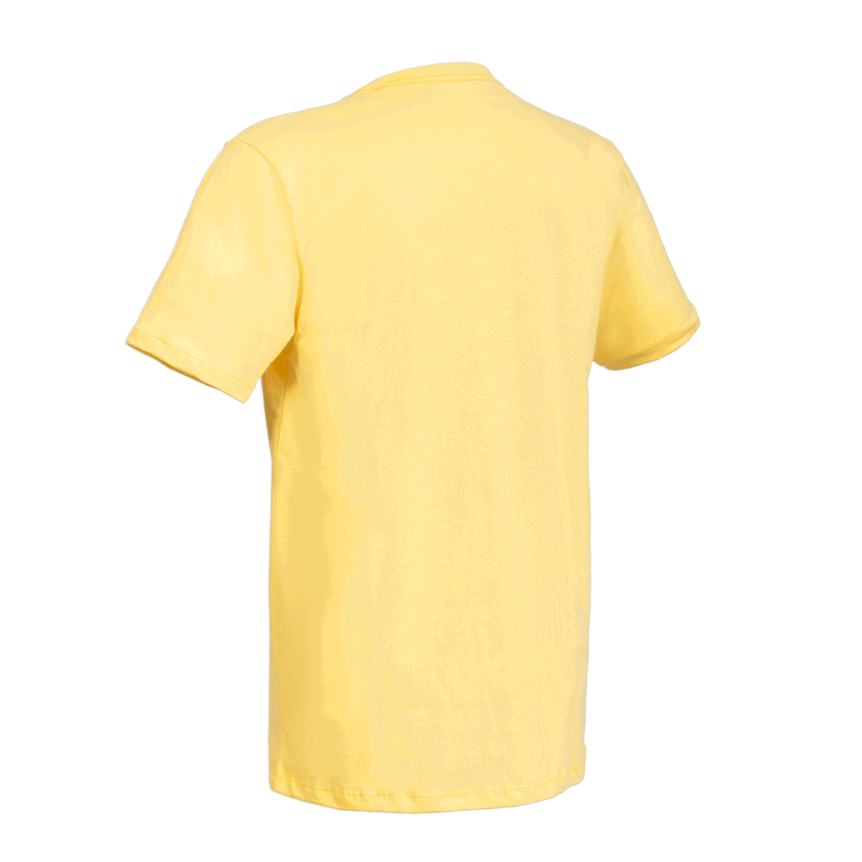 ION Tee Logo BRA SS men 2025